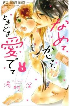Namete, Kajitte, Tokidoki Medete (2016) | LectorTMOo