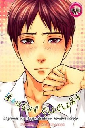 Namida Hanamizu Gusyogusyo Danshi (2011)