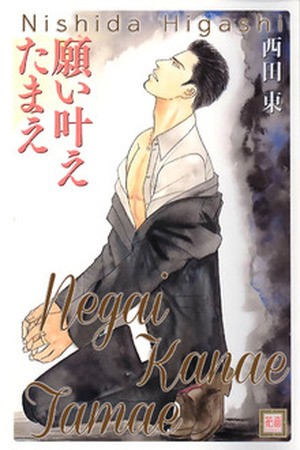 Negai Kanae Tamae (2005) | LectorTMOo