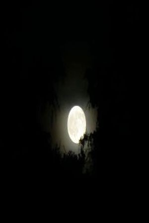 Noches Eternas (2011)