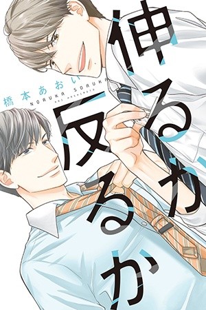 Noruka Soruka (2015) | LectorTMOo