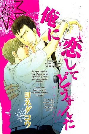 Ore ni Koi Shite Dousunda (2007)