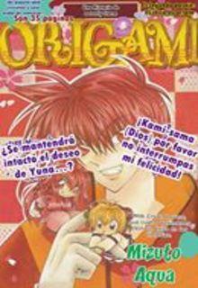 Origami | LectorTMOo