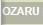 OZARU (Novela) | LectorTMOo