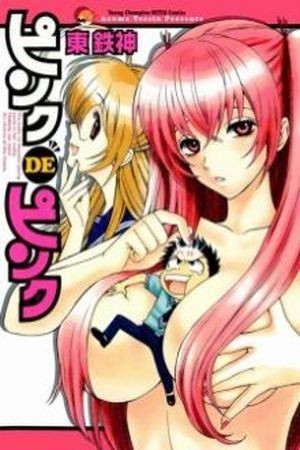 Pink de Pink (2007) | LectorTMOo