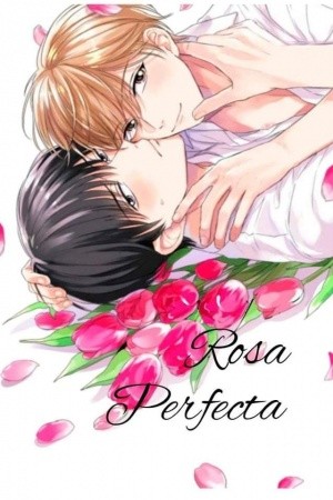 Pink perfect (2018) | LectorTMOo