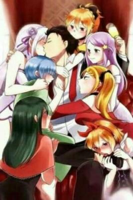 Re:Zero Harem (What If) (Novela)