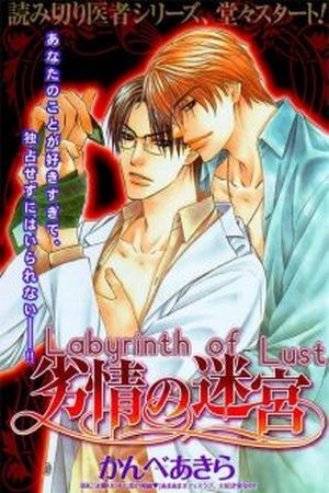 Retsujou no Meikyou (2010)