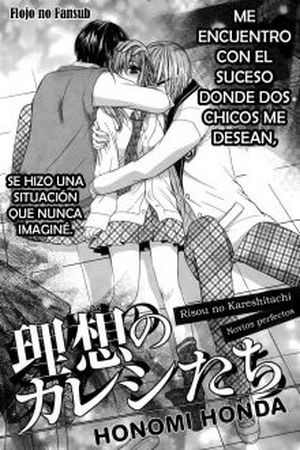 Risou no Kareshitashi (2013) | LectorTMOo