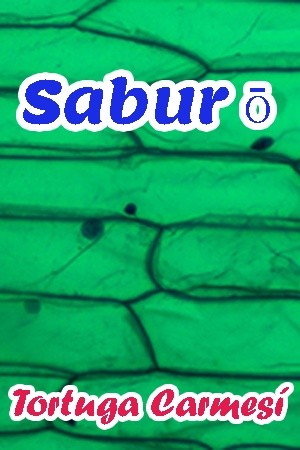 Saburo (2020)