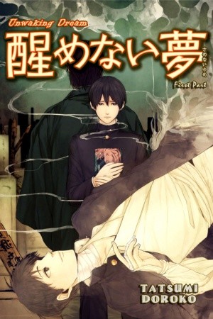 Samenai Yume (2013)