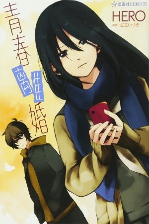 Seishun Rikon (2011) | LectorTMOo