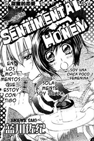 Sentimental Honey (2016) | LectorTMOo