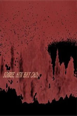 Sonríe, aun hay caos (Novela) (2016)