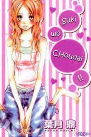 Suki wo Choudai (2005)