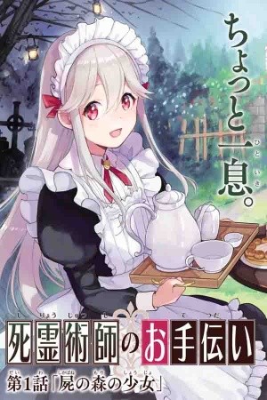 The Necromancer Maid | LectorTMOo