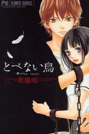 Tobenai Tori (2008) | LectorTMOo