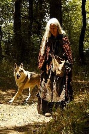 Tombestone and the wolf (2013) | LectorTMOo