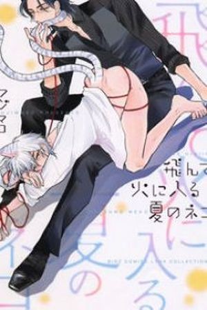 Tonde Hi ni Iru Natsu no Neko (2017)